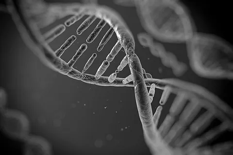 DNA basierte Nährstoffanalyse