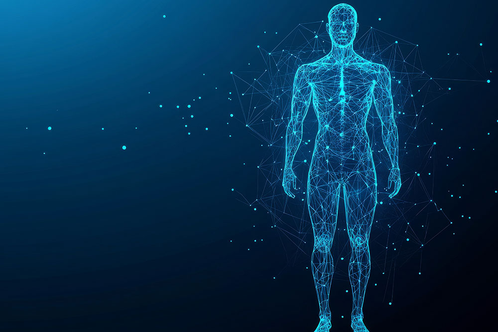 Human Design & Posture Screen